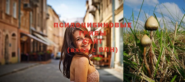 не бодяженный Богородицк